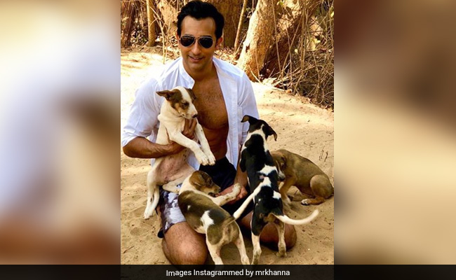 Rahul Khanna And Puppies. See Pic Here - You Can Thank Us Later