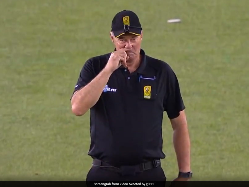 Watch: Umpire's Funny Gesture On Rashid Khan's LBW Appeal Leaves Everyone In Splits