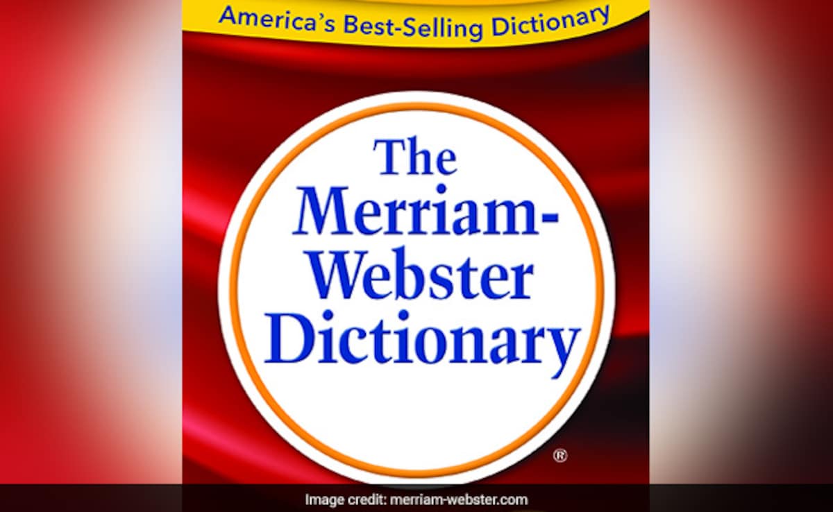 The Art of Baking: From Classic Bread to Artisan Pastries