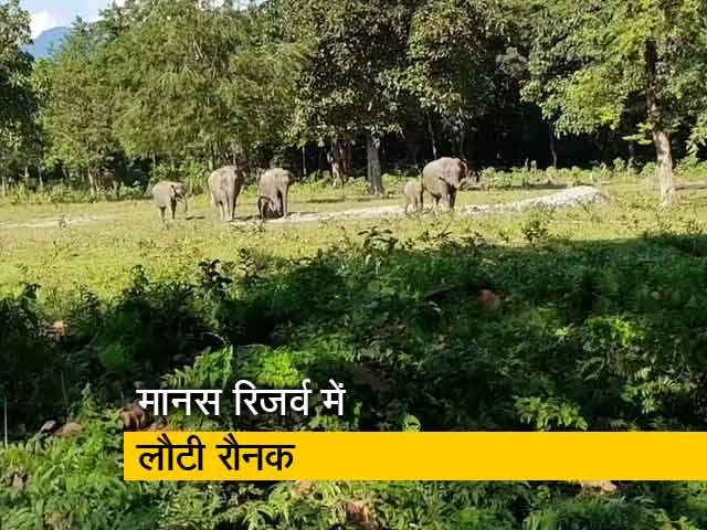 जो कभी शिकारी थे आज मानस नेशनल पार्क को दे रहे नई जिंदगी