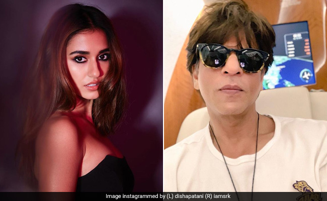 दिशा पटानी शाहरुख खान को करना चाहती हैं डेट, इंटरव्यू में किए कई खुलासे...