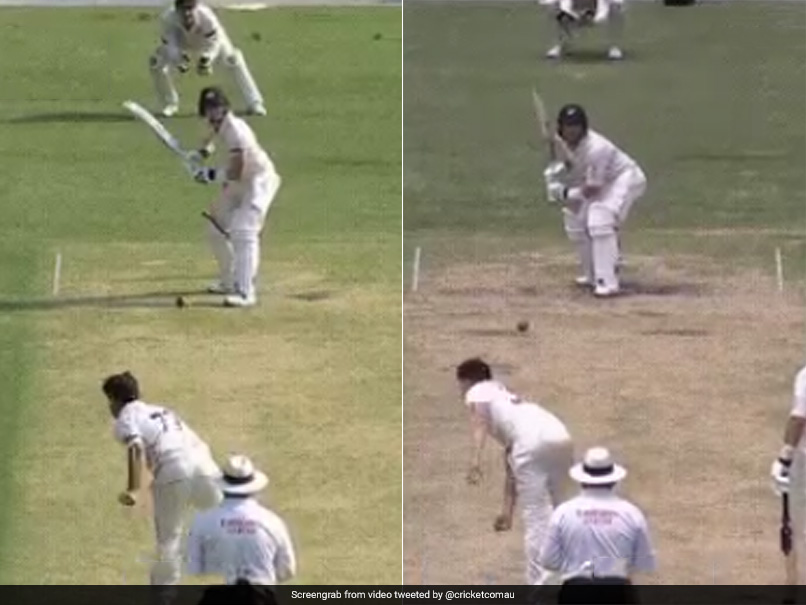 Meet Steve Smith's Batting "Clone" From New Zealand. Watch Video