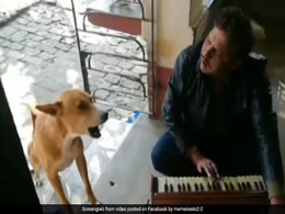 कुत्ते ने शख्स के साथ गाया Ranu Mondal का गाना, 10 लाख से ज्यादा बार देखा गया Video कुत्ते ने शख्स के साथ गाया Ranu Mondal का गाना, 10 लाख से ज्यादा बार देखा गया Video