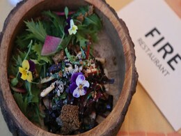 Fire-The Park Will Fire Up Your Appetite With Its Organic Winter Menu Fire-The Park Will Fire Up Your Appetite With Its Organic Winter Menu