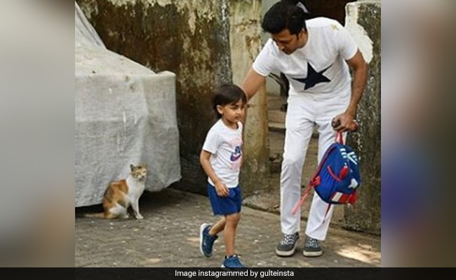 स्कूल से बेटे को लेकर आ रहे थे रितेश देशमुख, तभी पड़ा बिल्लियों के झुंड से पाला, फिर हुआ ऐसा- देखें Video