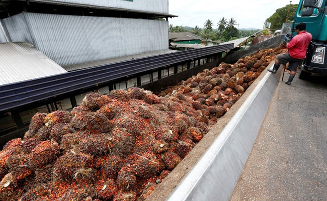 Malaysia To Use "Diplomatic Channels" To Resolve Palm Oil Row With India