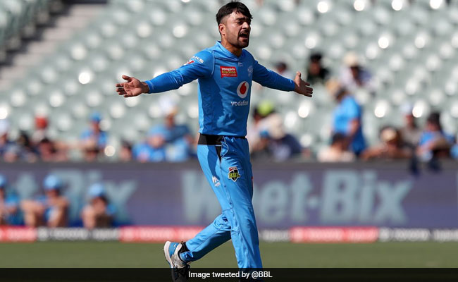 राशिद खान की मां का निधन, Tweet कर क्रिकेटर ने कहा- 'मुझे विश्वास नहीं हो रहा..'