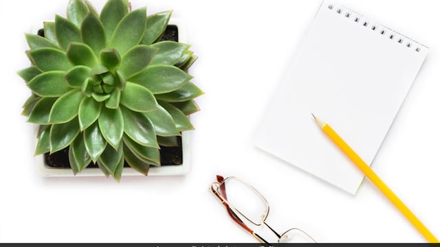 Small indoor plants can help you feel less stressed at work
