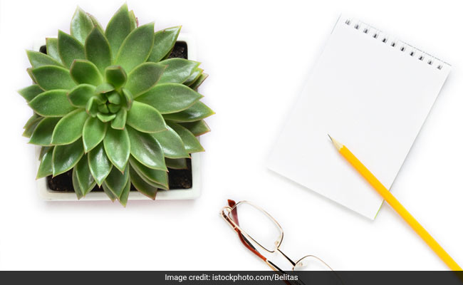 Small indoor plants can help you feel less stressed at work