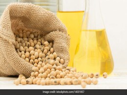 इस तेल में छिपा है बालों की हर समस्या का इलाज, एलोवेरा के साथ मिलाकर लगाया तो तेजी से बढ़ेंगे बाल इस तेल में छिपा है बालों की हर समस्या का इलाज, एलोवेरा के साथ मिलाकर लगाया तो तेजी से बढ़ेंगे बाल