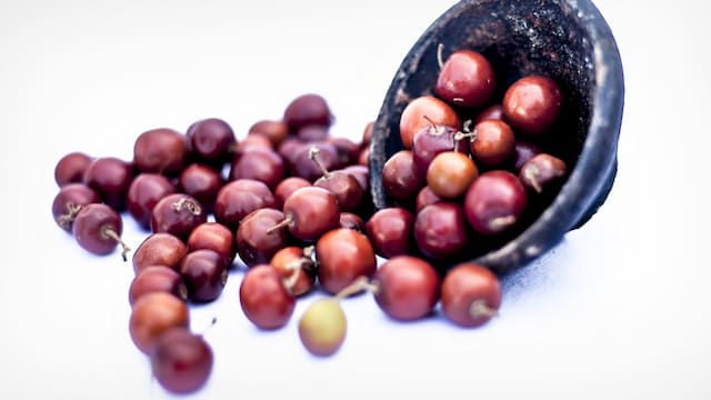 These fruits contain prebiotics which allow diversity in probiotic bacteria