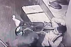 पिटबुल कुत्ते ने धर दबोचा बच्चे का पांव, सीसीटीवी में  कैद हुई घटना पिटबुल कुत्ते ने धर दबोचा बच्चे का पांव, सीसीटीवी में  कैद हुई घटना