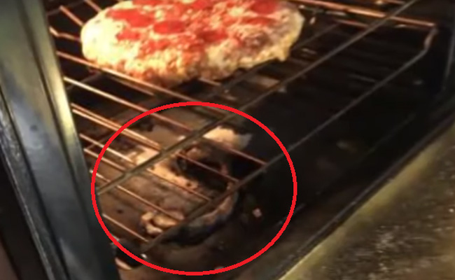 ऊपर बन रहा था Pizza और नीचे तड़प रहा था सांप, ओवन खोलकर निकाला तो हुआ ऐसा... देखें Video