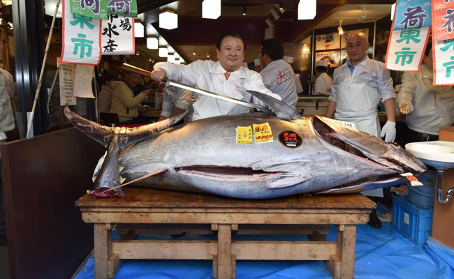 This 276-Kg Tuna Sold For $1.8 Million. Here's Why.