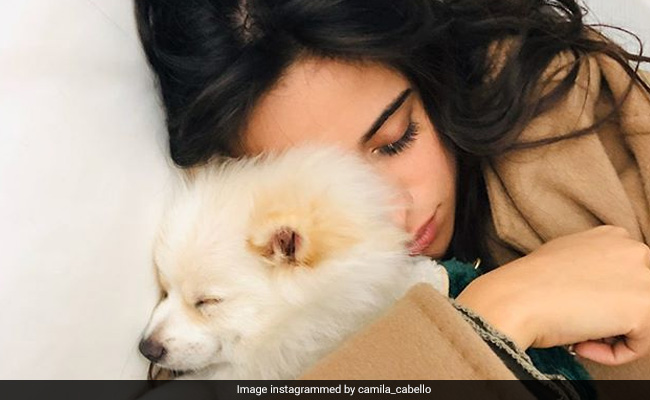 इस मशूहर सिंगर ने कर दिया ऐलान, अगर ग्रैमी अवॉर्ड मिला तो हम अंडरवियर में घूमेंगे