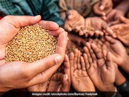 World Hunger Day 2024: History, Significance And Sustainable Solutions World Hunger Day 2024: History, Significance And Sustainable Solutions