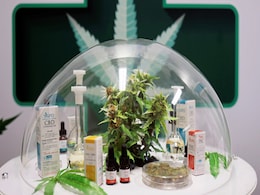 Thailand Opens First Cannabis Clinic Based On Traditional Medicine Thailand Opens First Cannabis Clinic Based On Traditional Medicine