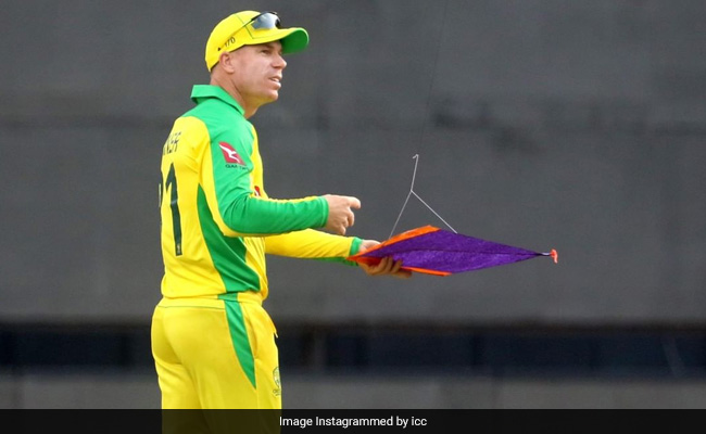 Ind Vs Aus: डेविड वॉर्नर को अचानक ग्राउंड पर मिली पतंग, लोग बोले- कन्नी देकर उड़ा दो भाई...- पढ़ें मजेदार कॉमेंट्स