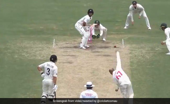 Aus Vs NZ: लायन की स्पिन देख घबरा गया बल्लेबाज, आउट होने के बाद लिया DRS तो हुआ ऐसा... देखें Video