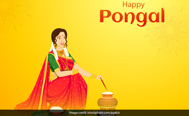Pongal 2020: Wishes, Quotes, Status, SMS, Messages And Greetings