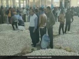 लहसुन चोरी के शक में कपड़े उतारकर शख्स को पीटा, VIDEO वायरल होने के बाद हरकत में आई पुलिस लहसुन चोरी के शक में कपड़े उतारकर शख्स को पीटा, VIDEO वायरल होने के बाद हरकत में आई पुलिस