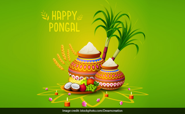Pongal 2020: Dates, History, Importance Of The Harvest Festival