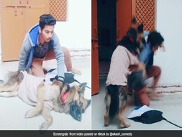 TikTok Viral Video: पढ़ाई से बचकर क्रिकेट खेलने जा रहा था लड़का, कुत्ते ने पिटाई कर ऐसे बिठाया... TikTok Viral Video: पढ़ाई से बचकर क्रिकेट खेलने जा रहा था लड़का, कुत्ते ने पिटाई कर ऐसे बिठाया...