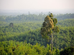 India's First Urban Wildlife Corridor Being Planned In Delhi-NCR India's First Urban Wildlife Corridor Being Planned In Delhi-NCR
