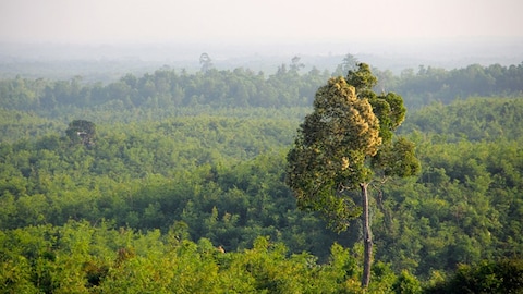 Story image