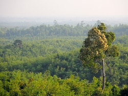 Manipur Hunter Kills Man "Mistaking" Him For Wild Animal