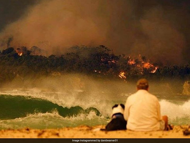 David Warner Expresses "Shock" At Sight Of Australia Bushfire, Posts Emotional Message On Instagram