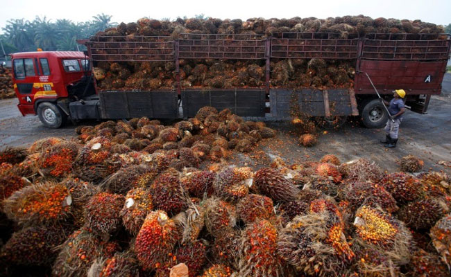 Crude Palm Oil Imports Tax Cut To Help Consumers