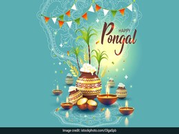 Pongal 2024: Know The Dates, History And Significance Of South India's Harvest Festival Pongal 2024: Know The Dates, History And Significance Of South India's Harvest Festival