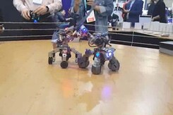 Quirky Gadgets We Spotted at CES! Quirky Gadgets We Spotted at CES!