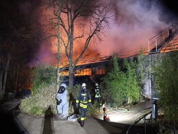 Fire From New Year's Eve Lanterns Kill Dozens Of Monkeys In German Zoo Fire From New Year's Eve Lanterns Kill Dozens Of Monkeys In German Zoo