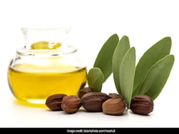 This Winter, Shield Your Skin With Enriching Jojoba Oil. 7 Top Picks This Winter, Shield Your Skin With Enriching Jojoba Oil. 7 Top Picks