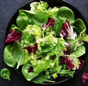 Mixed Vegetable Salad