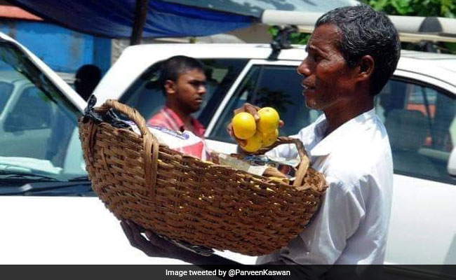 Meet The Orange Seller From Karnataka Who Won Padma Shri