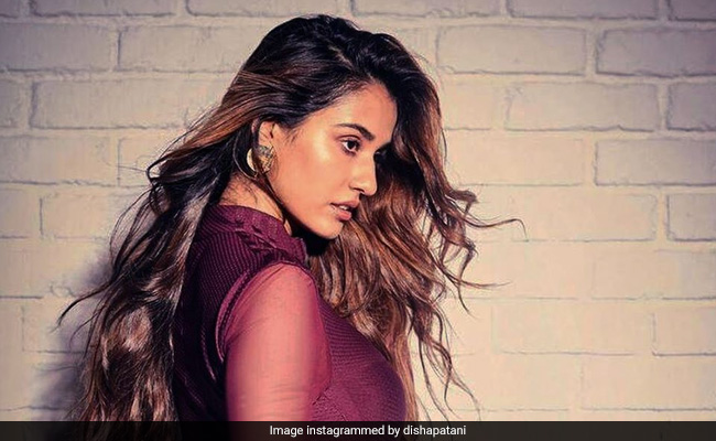 दिशा पटानी का लेटेस्ट फोटोशूट हुआ वायरल, इस अंदाज में दिखी 'मलंग गर्ल'