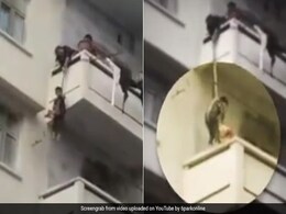 बिल्ली को बचाने के लिए महिला ने अपने ही बच्चे को 5वीं मंजिल पर रस्सी से लटकाया, देखें Shocking Video बिल्ली को बचाने के लिए महिला ने अपने ही बच्चे को 5वीं मंजिल पर रस्सी से लटकाया, देखें Shocking Video