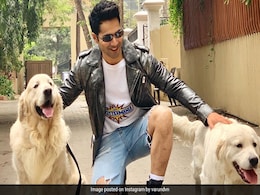 First Shraddha Kapoor, Now Anushka Sharma. Varun Dhawan Can't Catch A Break No Matter What He Wears First Shraddha Kapoor, Now Anushka Sharma. Varun Dhawan Can't Catch A Break No Matter What He Wears