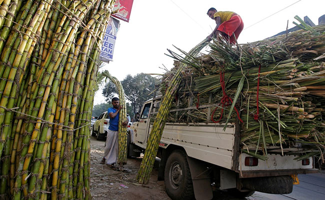 Centre Dismisses Food Security Fears Over Ethanol Plan