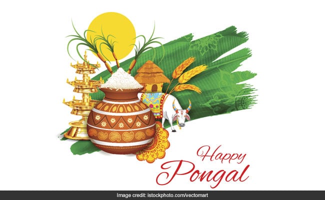 Pongal 2021: When Is Pongal? Date, Time And A Planned Menu For The Festive Fare (Recipes Inside)