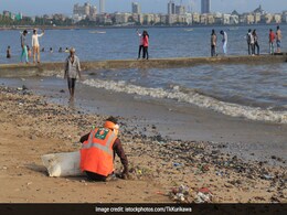 Seawater Quality In Mumbai, Thane Districts Deteriorating: Report Seawater Quality In Mumbai, Thane Districts Deteriorating: Report