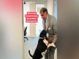 रतन टाटा को हर रोज़ किससे मिलने का इंतजार रहता है? रतन टाटा को हर रोज़ किससे मिलने का इंतजार रहता है?