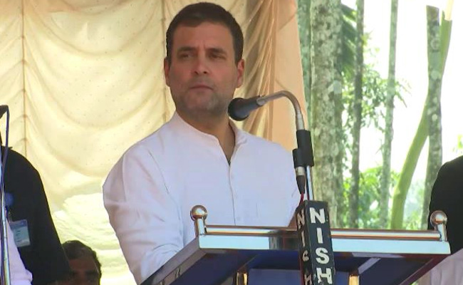 Rahul Gandhi Leads March Against CAA In Kerala's Wayanad