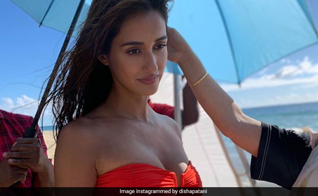 Disha Patani Adds A Sun-Kissed Pic To Her Beach Diaries From <I>Malang</i> Shoot
