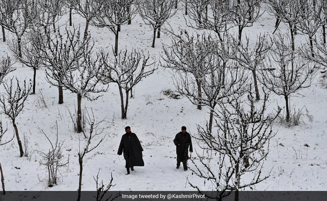 Fresh Snow In Kashmir, Himachal; Rain Across North India