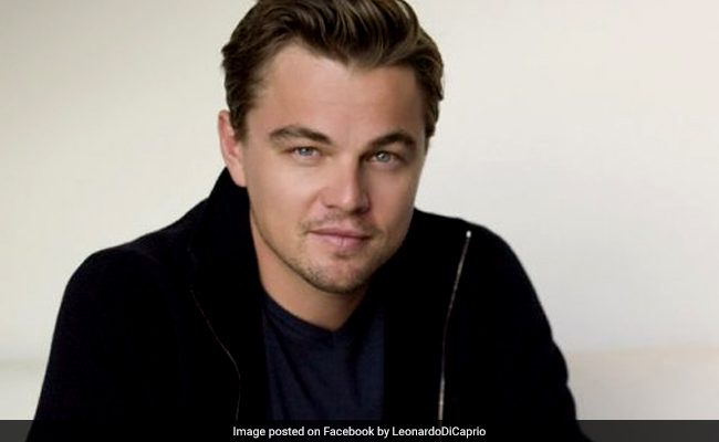 Leonardo DiCaprio Helps Save Drowning Man During Caribbean Vacation