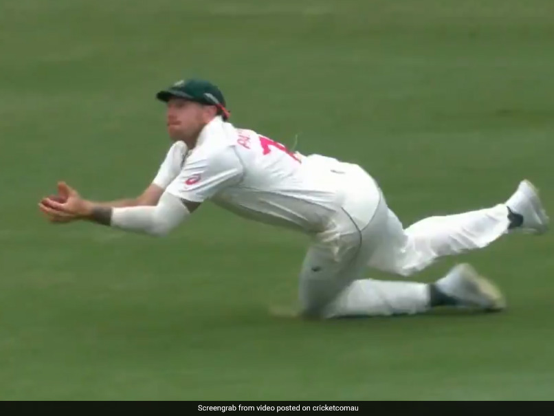 "What A Screamer": James Pattinson Takes Spectacular Diving Catch To Dismiss Todd Astle